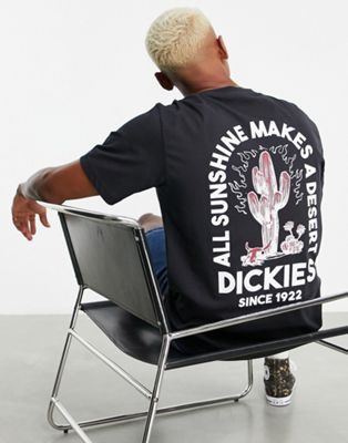 Dickies Badger Mountain t-shirt in black Exclusive at ASOS