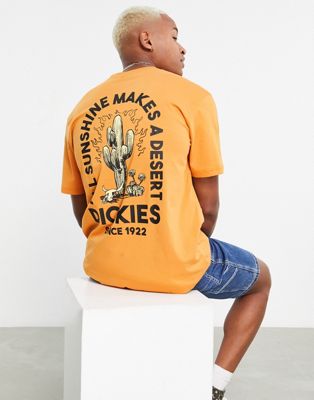Dickies Badger Mountain t-shirt in orange Exclusive at ASOS