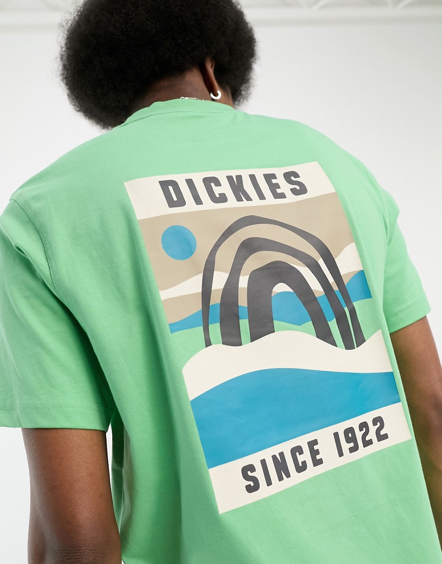 Dickies Baker city landscape back print T-shirt in green