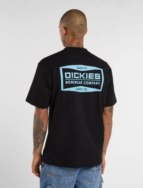 Dickies Bolivar t-shirt in black - view 1