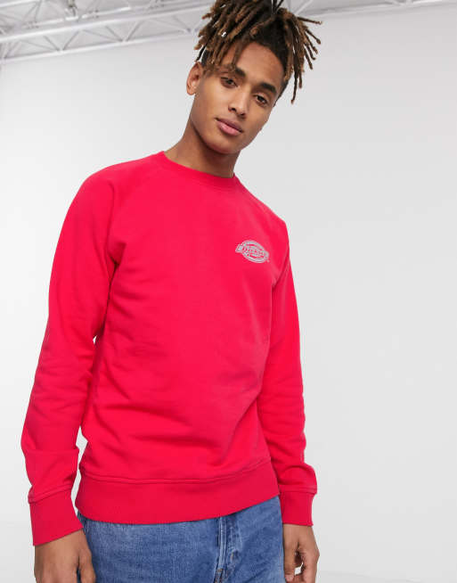 Dickies Briggsville sweatshirt in pink | ASOS