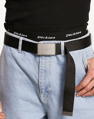 Dickies brookston belt in black - ASOS Price Checker
