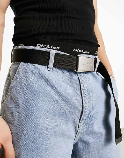 Dickies brookston belt in black