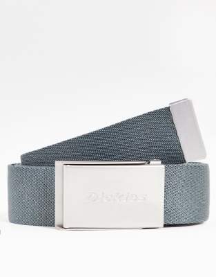 Dickies Brookston belt in grey