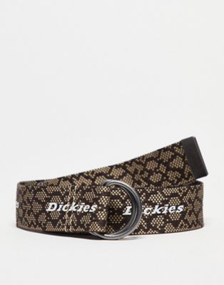 Dickies Camden belt in khaki