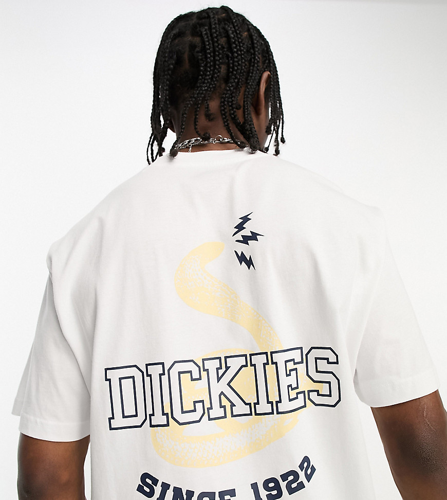 Dickies cascade locks snake back print t-shirt in white exclusive to asos
