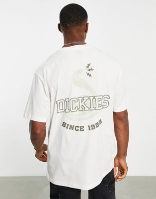 Dickies Cascade Locks t-shirt in beige Exclusive at ASOS