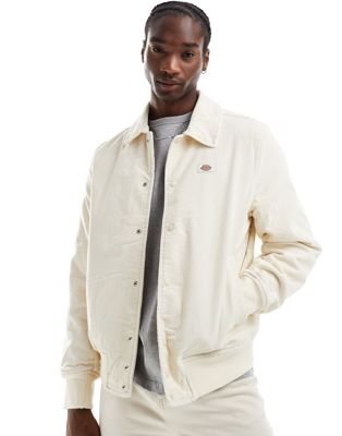 Dickies chase city jacket in cream