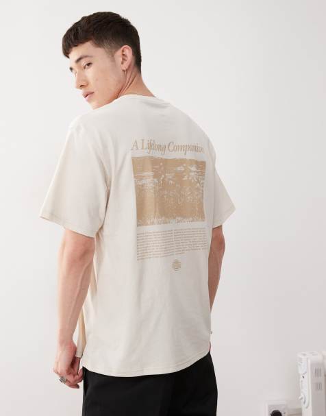 Dickies companion script t-shirt in cream - view 1