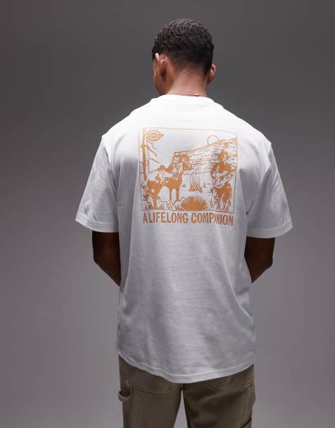 Dickies Companion T-shirt in white - view 1