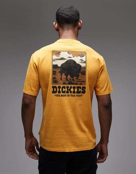Dickies Darrtown t-shirt in yellow