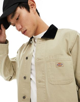 Dickies duck canvas unlined chore jacket in light tan