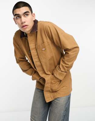 Dickies duck canvas unlined chore jacket in brown - ASOS Price Checker