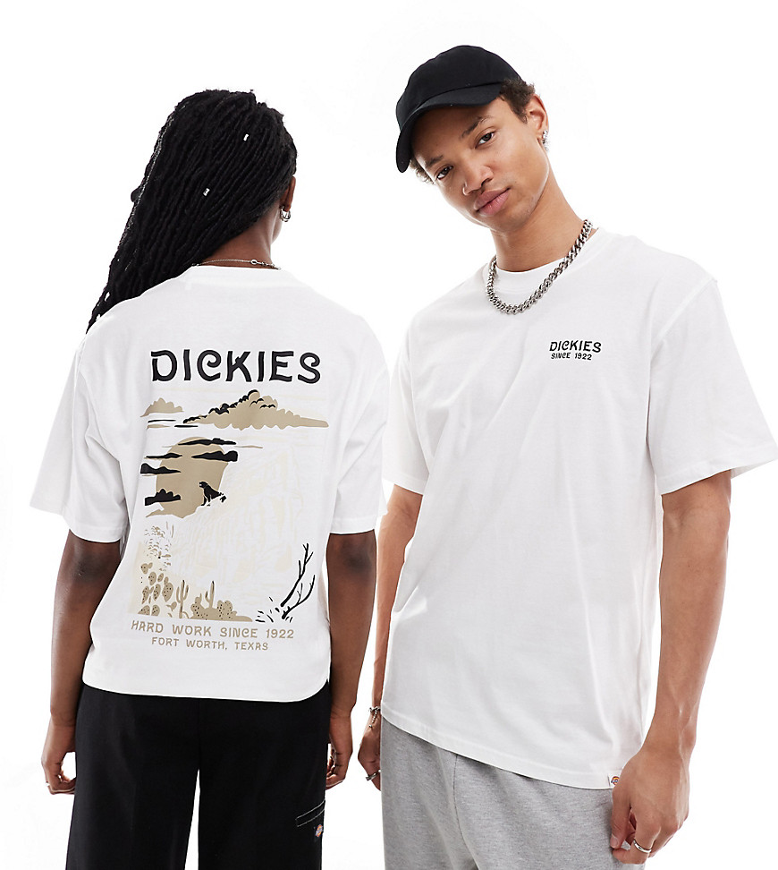 Dickies eagle point short sleeve back print t-shirt in white- exclusive to asos