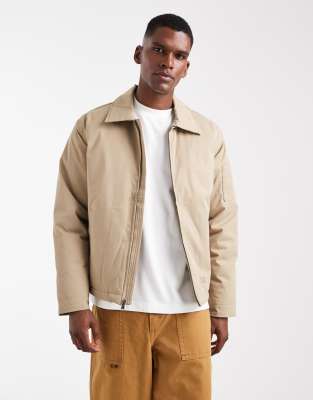 Eisenhower - Doudoune - Beige clair - Dickies - Modalova