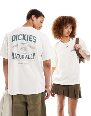 Dickies elliston back print t-shirt in off white