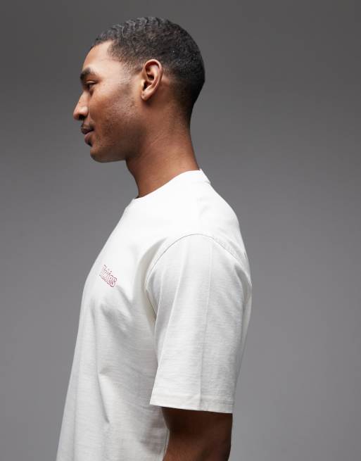Dickies – Fairlawn – Naturvit t-shirt med tryck baktill, 4 av 5