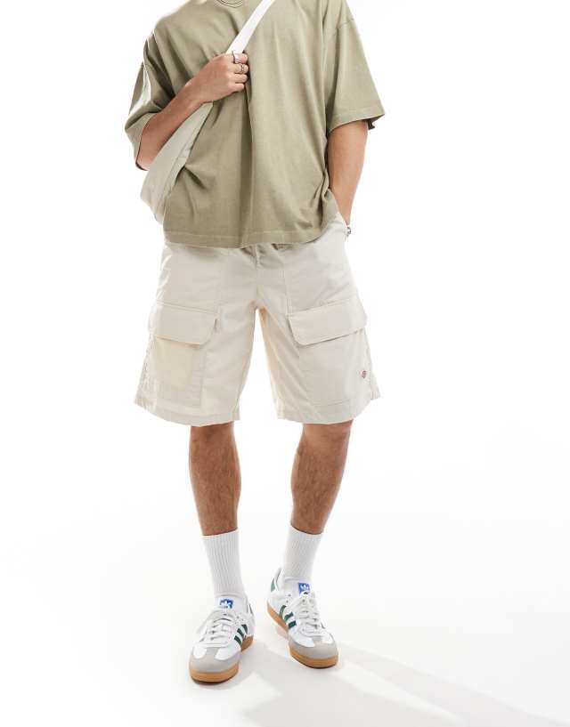 Dickies - fisherville shorts in cream