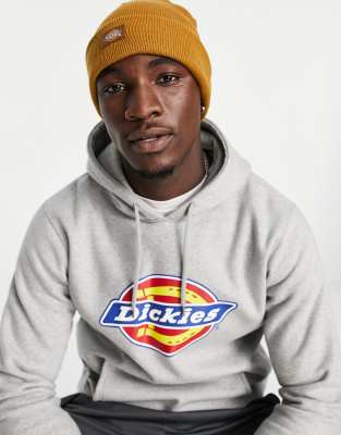 Dickies Gibsland beanie in brown - ASOS Price Checker