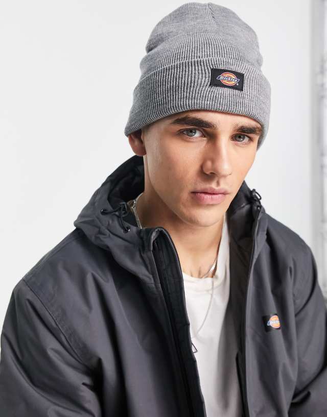 Dickies Gibsland beanie in gray