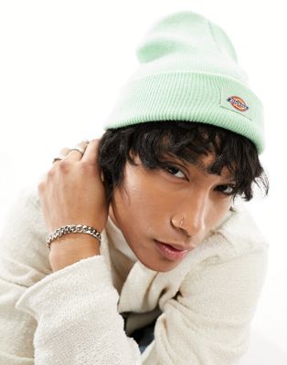 Dickies gibsland beanie in quiet green - ASOS Price Checker