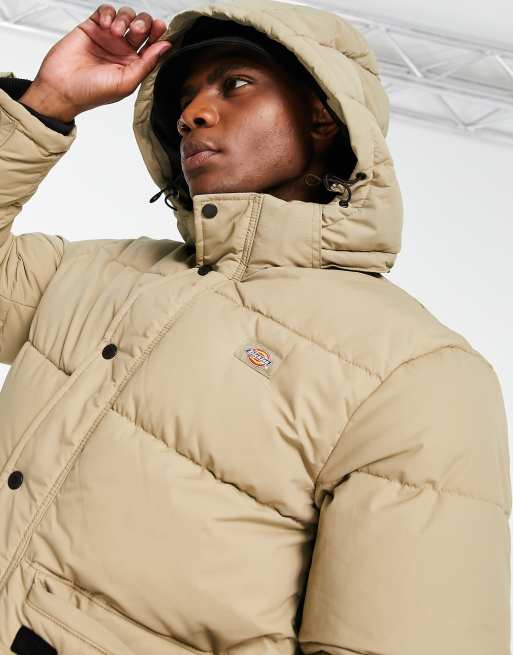 Hollister Heritage Collection Parka!  Desire clothing, Womens parka, Parka