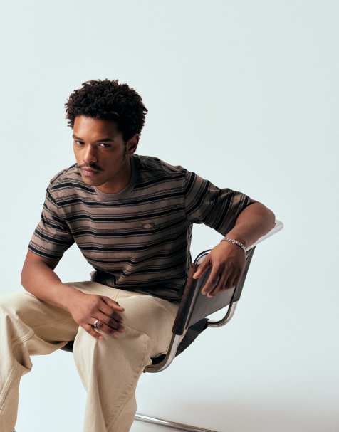 Dickies Glade Springs striped t-shirt in brown