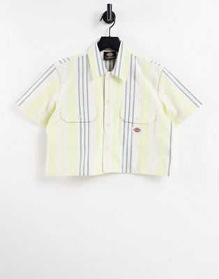 Dickies Grove City cropped stripe work shirt in mellow green