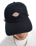 [Dickies] Dickies Hardwick baseball cap in black One Size BLACK