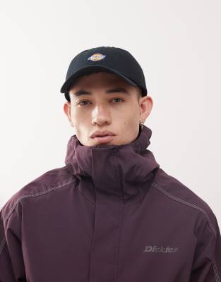 Dickies Hardwick cap in black