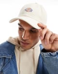 [Dickies] Dickies Hardwick cap in off white One Size WHITE