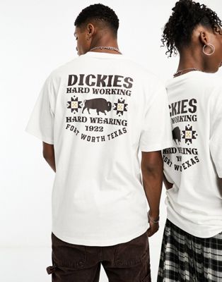 Dickies hays t-shirt with texas back print in white