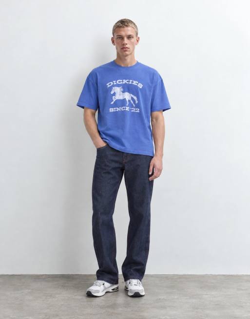 Dickies horse short sleeve graphic t-shirt in washed blue, 10 of 10