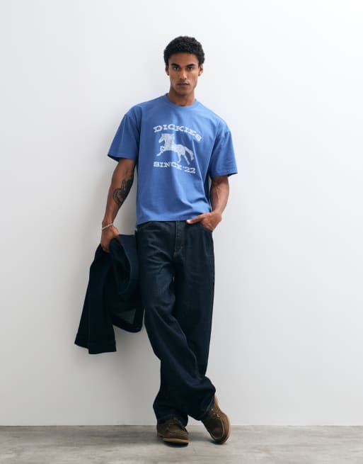 Dickies horse short sleeve graphic t-shirt in washed blue, 2 of 10