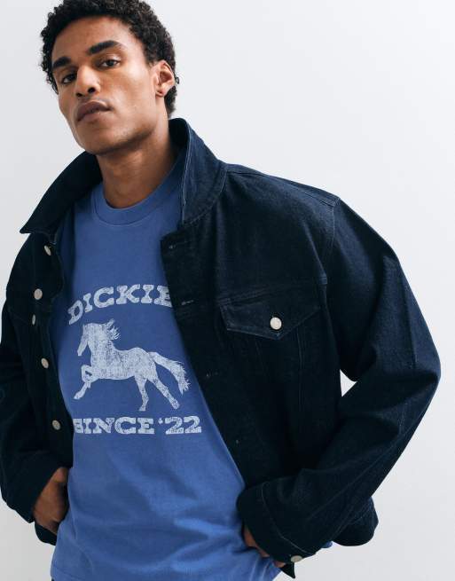Dickies horse short sleeve graphic t-shirt in washed blue, 3 of 10