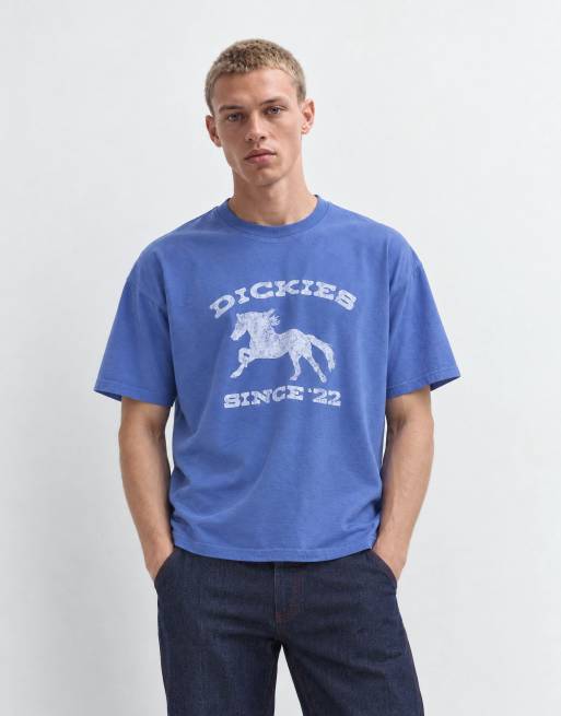 Dickies horse short sleeve graphic t-shirt in washed blue, 8 of 10
