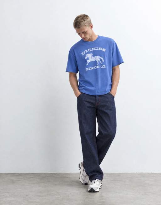 Dickies horse short sleeve graphic t-shirt in washed blue, 9 of 10