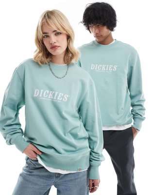 Dickies large chest logo sweatshirt in light blue φωτογραφία