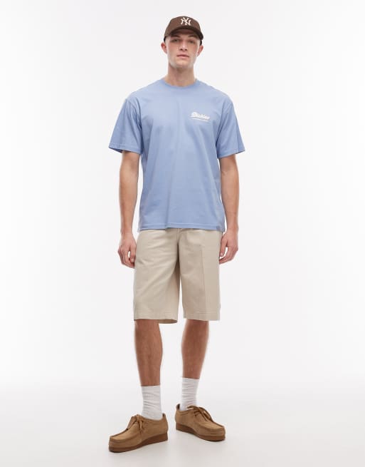Dickies - Lewistown - Blå T-shirt med print på ryggen, 2 af 5