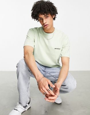 Dickies Loretto t-shirt in light green