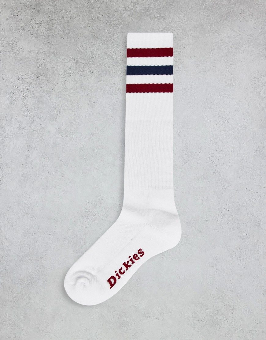 Dickies Lutak socks in red stripe