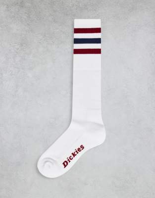  Dickies Lutak socks in red stripe