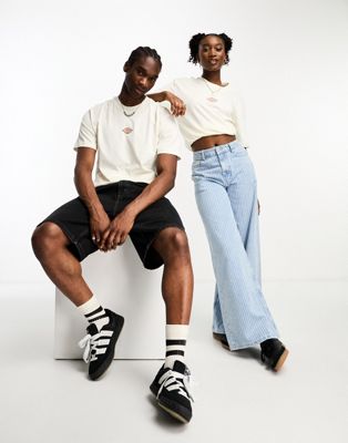 Dickies maple valley central logo t-shirt in off white - ASOS Price Checker