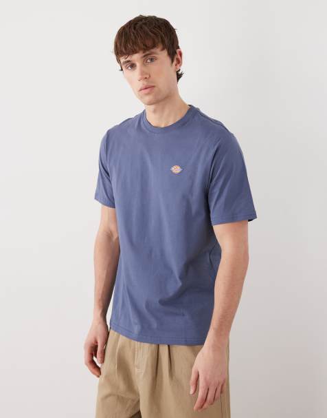 Dickies Mapleton ss tee in medium brown