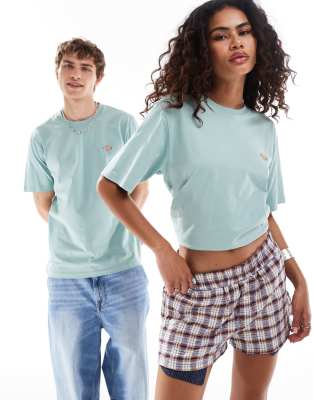 Dickies - Mapleton - T-Shirt in Hellblau