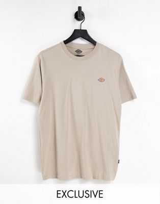 Dickies Mapleton t-shirt in sand Exclusive at ASOS