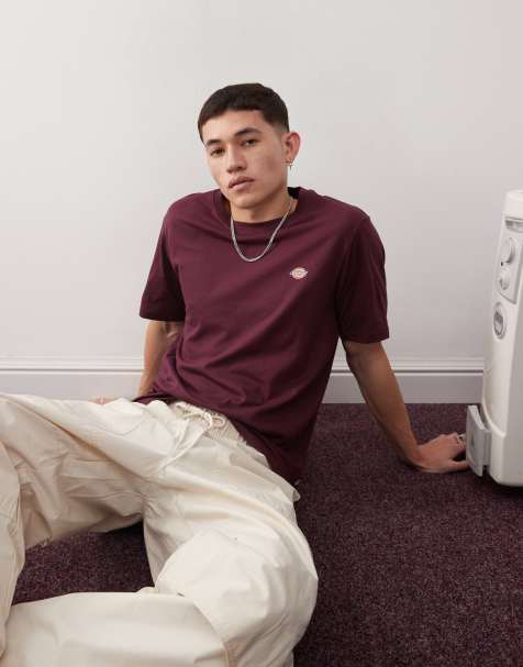 Dickies - Mapleton - T-shirt met klein logo in kastanjekleur - view 1