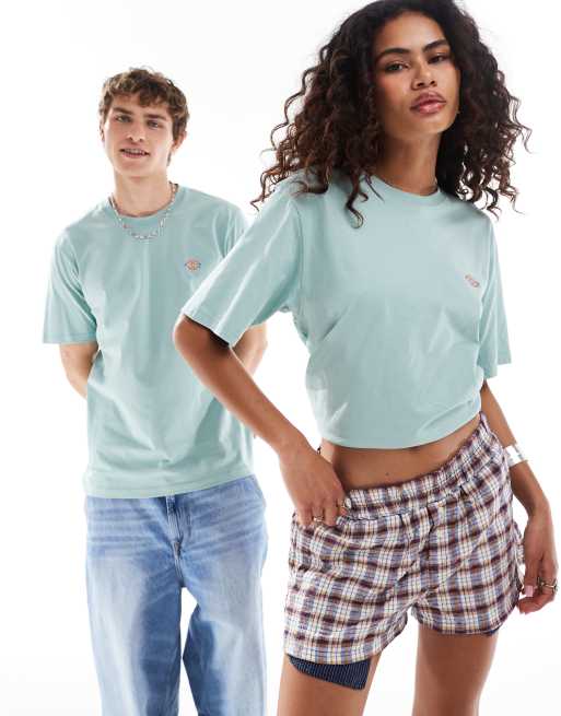 Dickies - Mapleton - T-shirt met korte mouwen in lichtblauw