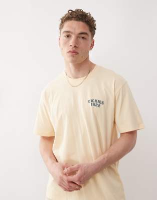 Dickies Mechanic T-shirt In Neutral