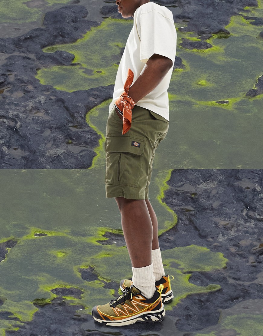 Dickies Millerville cargo shorts in military green